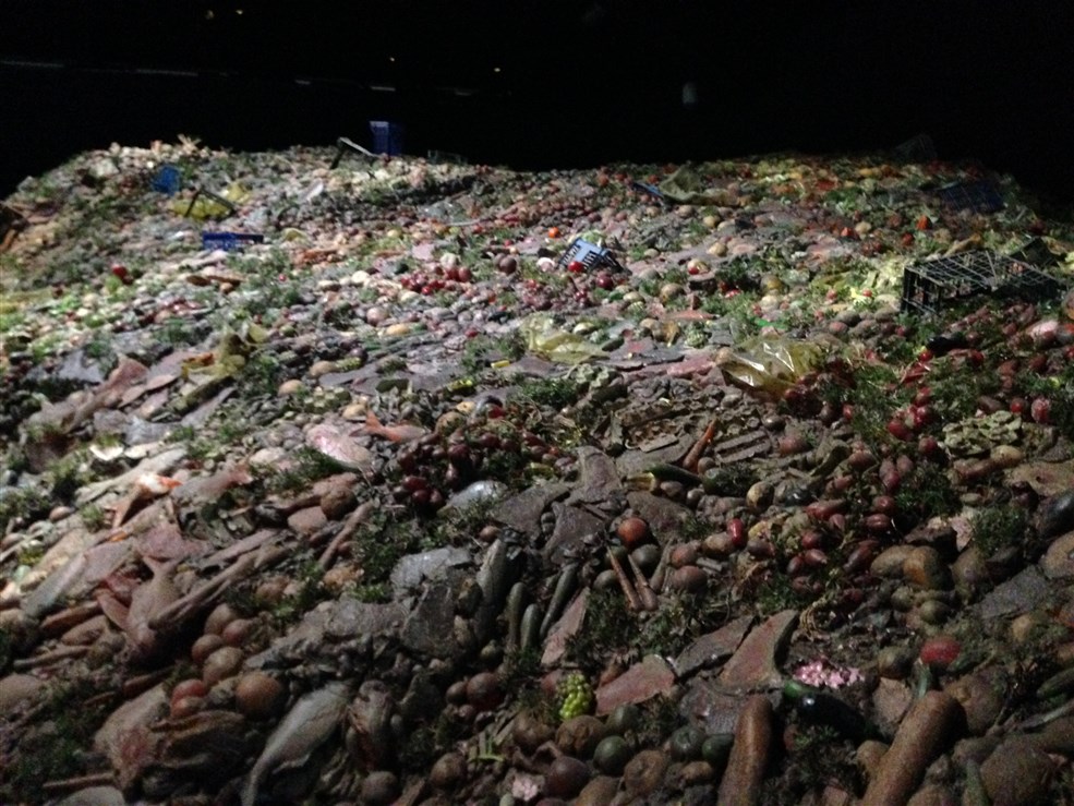 padiglione zero expo (11)