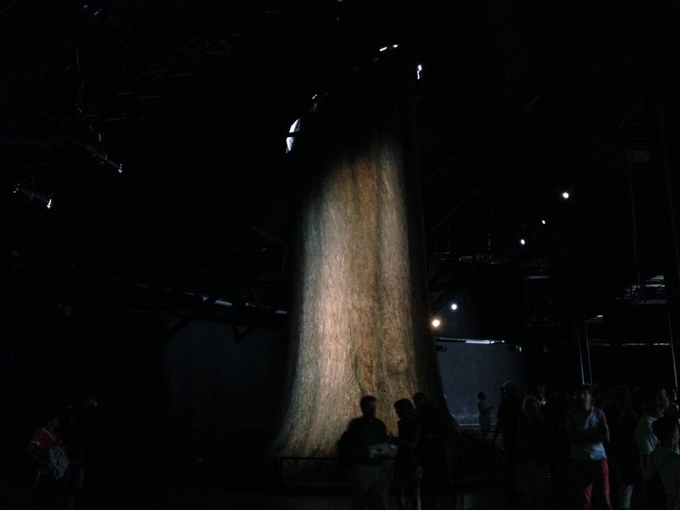 padiglione zero expo (5)