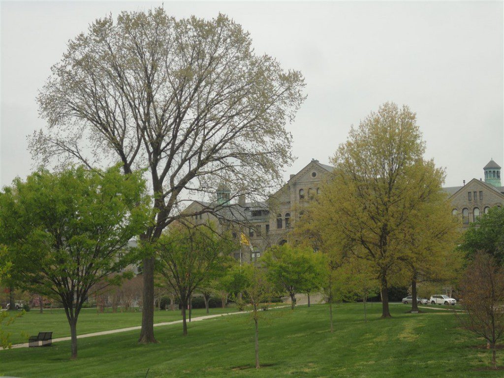 Uno scorcio dei giardini dell'Università Cattolica d'America