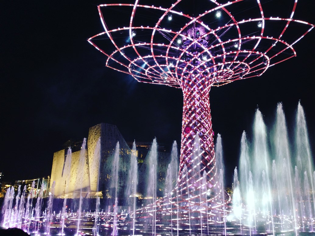 albero della vita expo