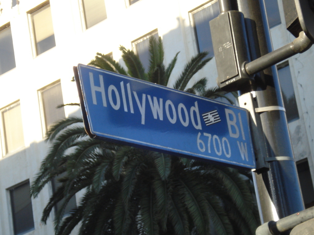 Hollywood Walk of fame (8)