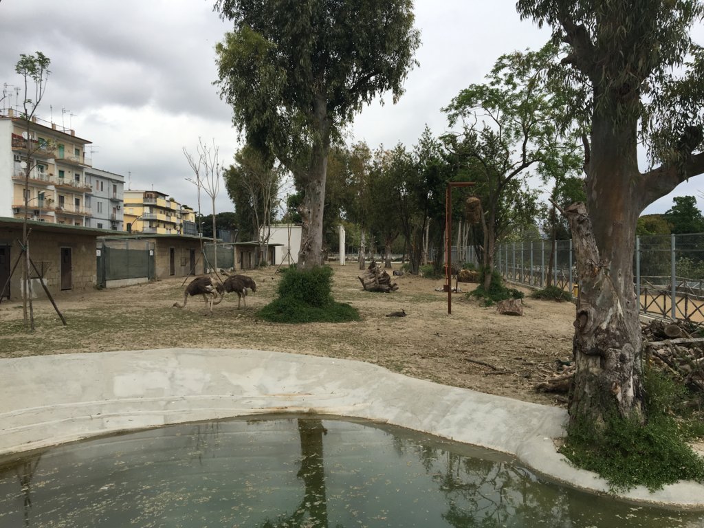 zoo di napoli (14)