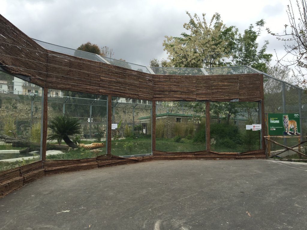 zoo di napoli (19)
