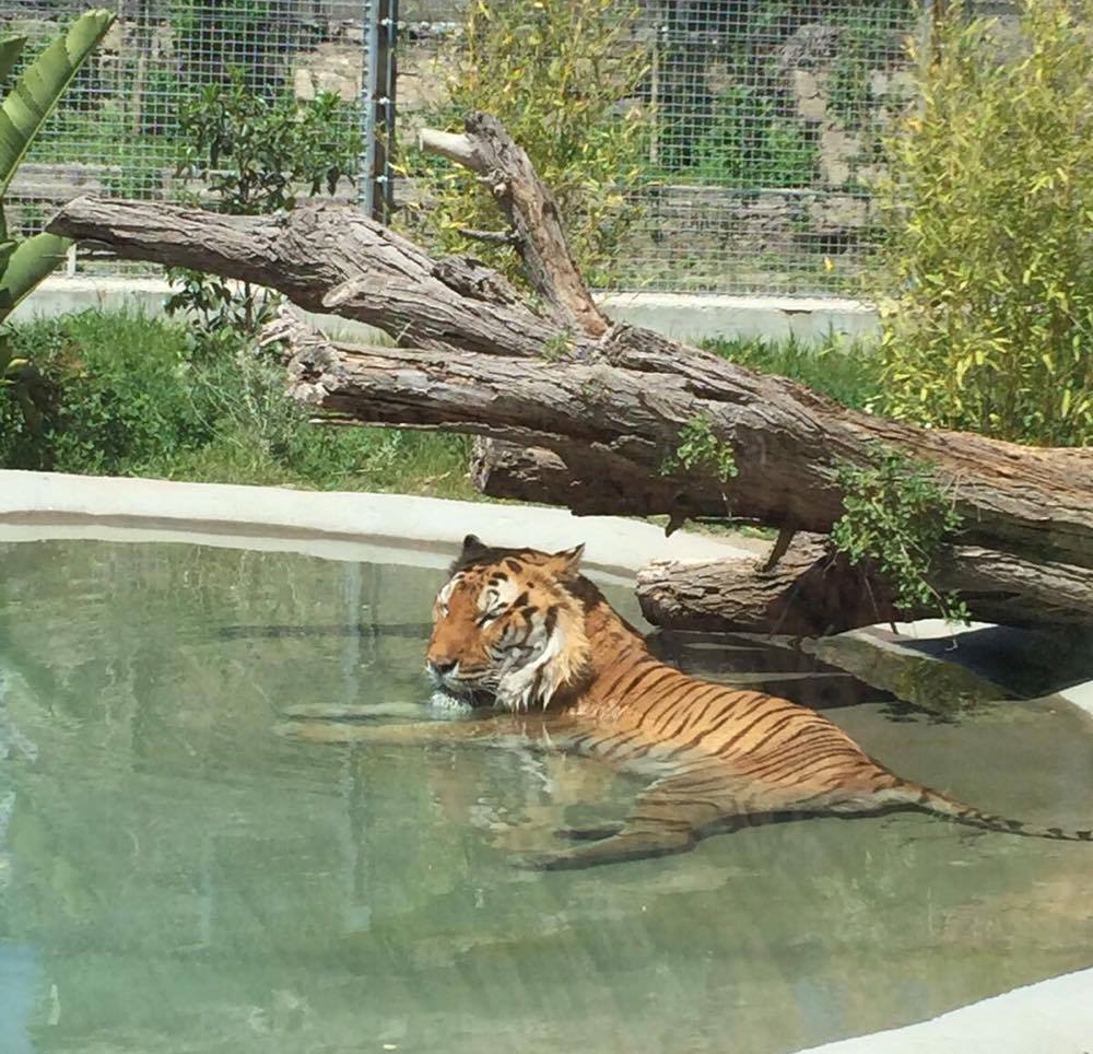 Giornata Mondiale della Terra