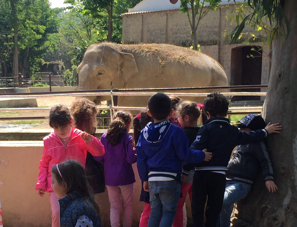 zoo di napoli (5)