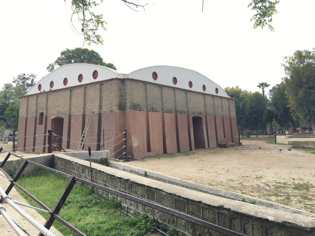 zoo di napoli (8)