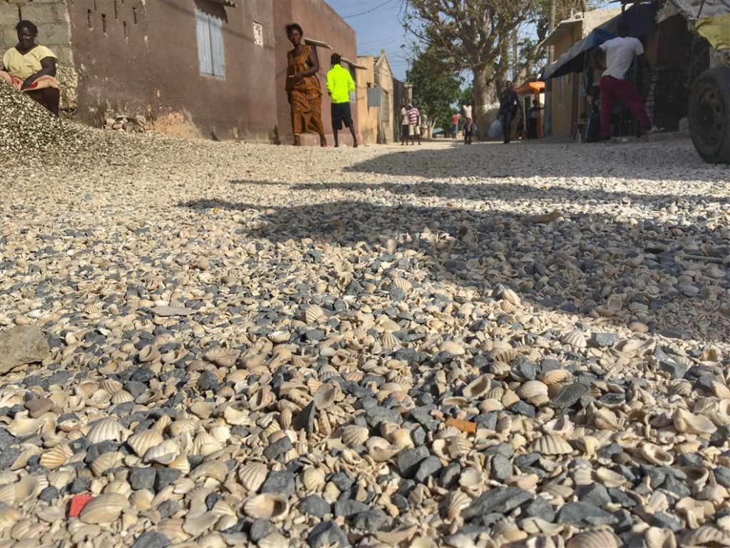 cimitero delle conchiglie senegal (2)