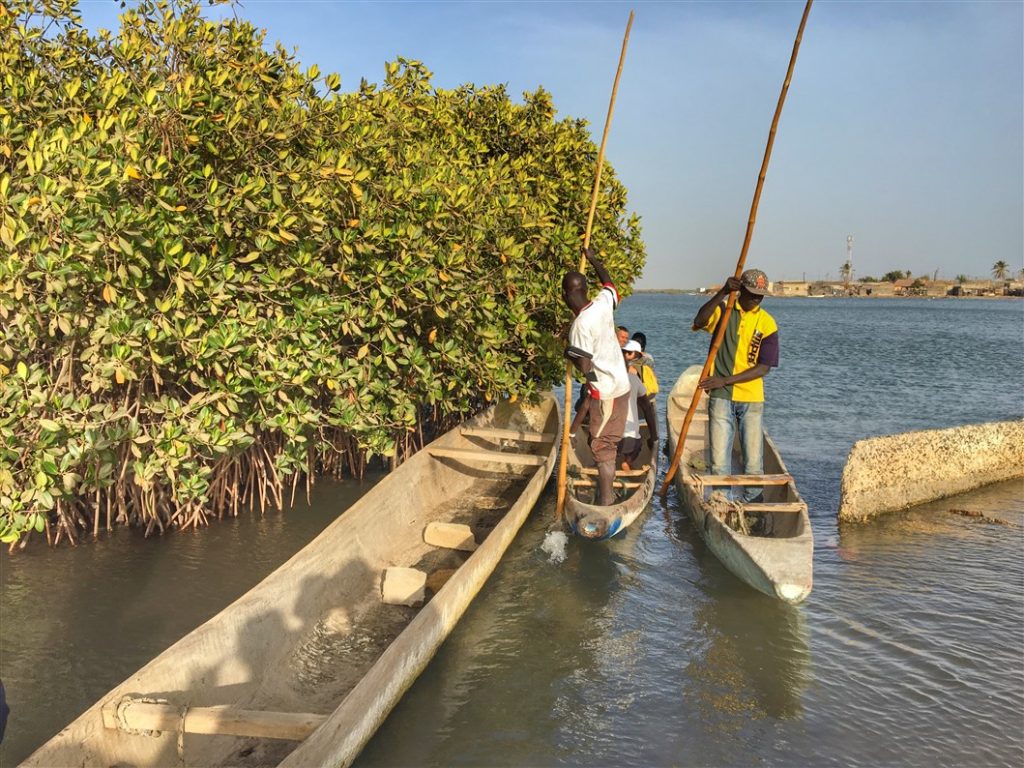 cimitero delle conchiglie senegal (7)