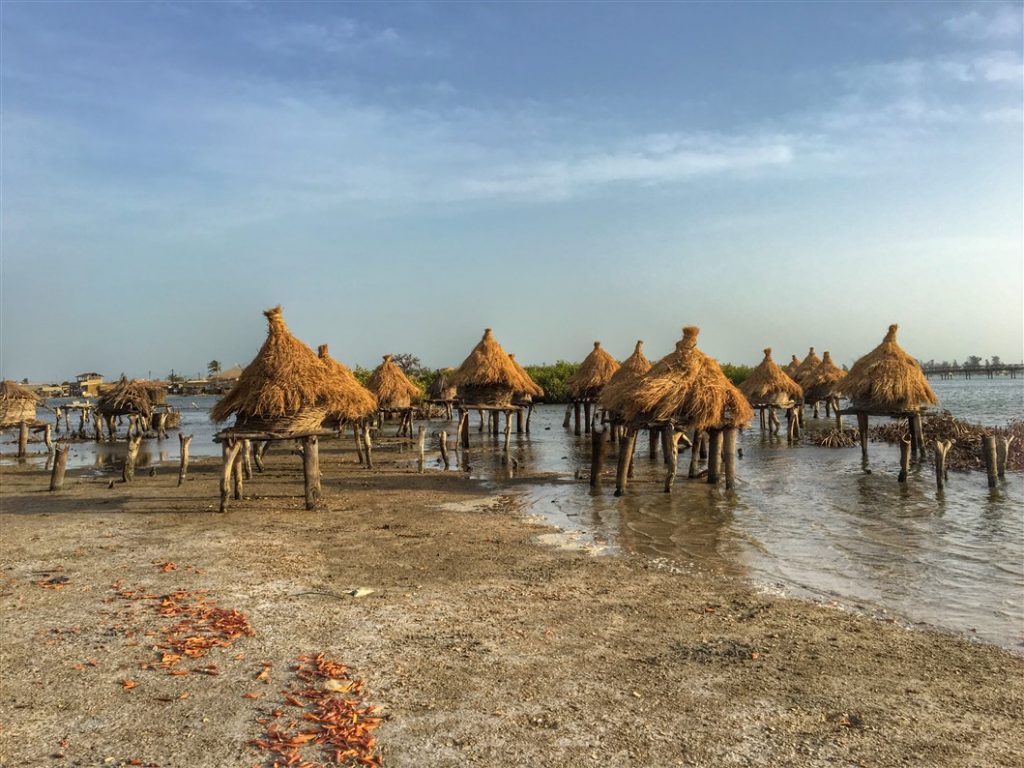 cimitero delle conchiglie senegal (8)