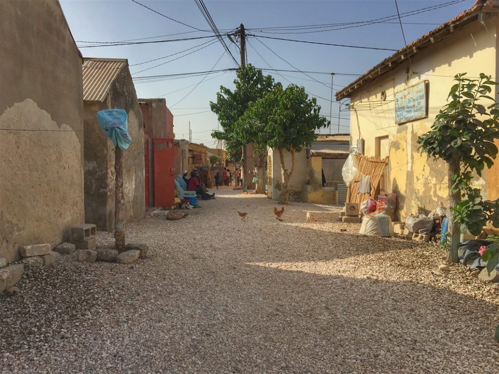 cimitero delle conchiglie senegal (9)