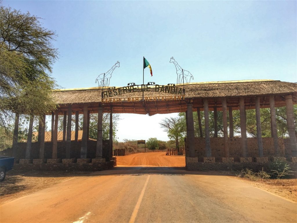 riserva di bandia (10)