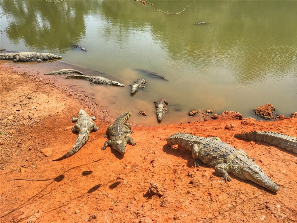 riserva di bandia (7)