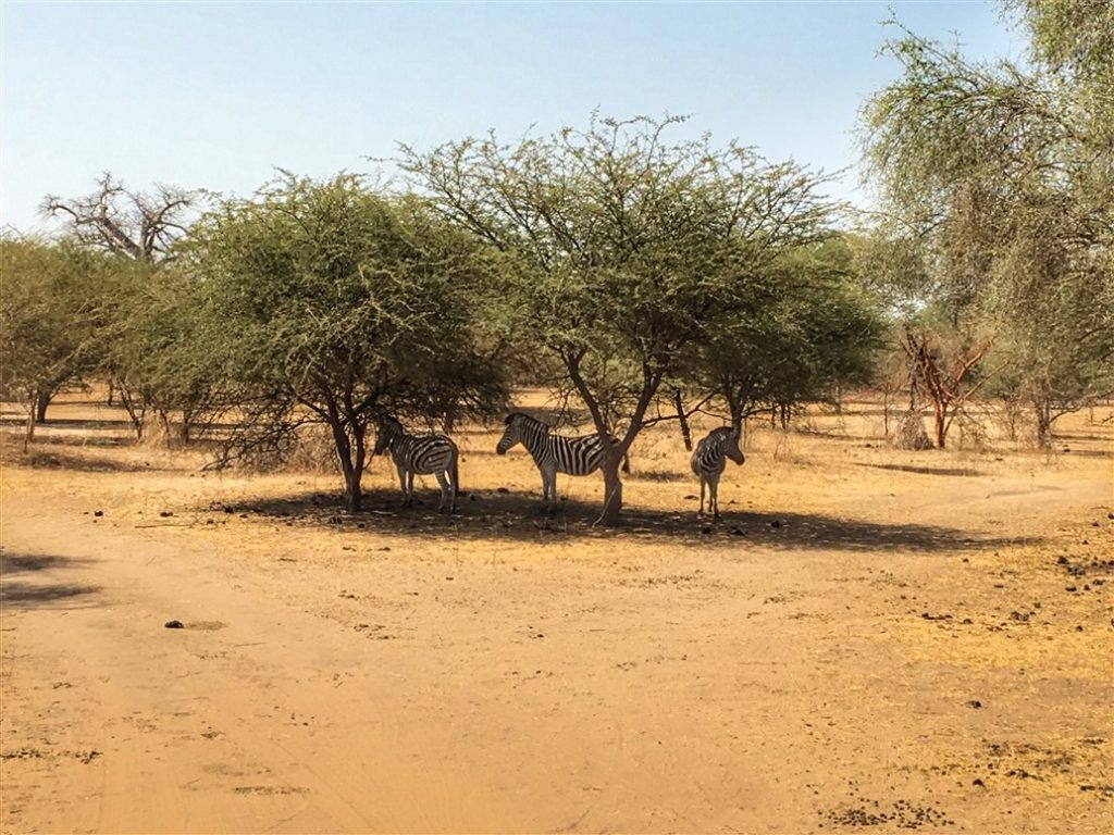 riserva di bandia (8)