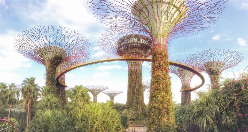 singapore-citta-moderna-e-multietnica-4
