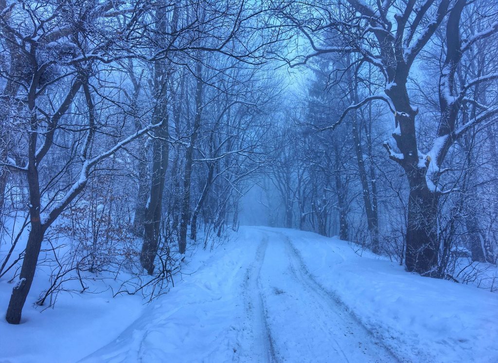 Monastero di Dragalevtsi