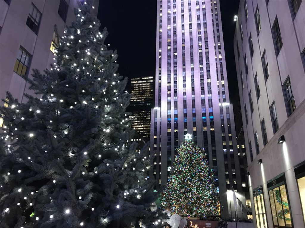 albero di rockefeller