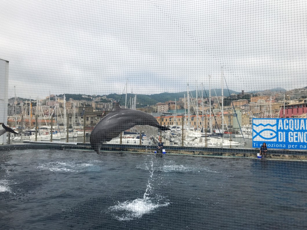 acquario di genova