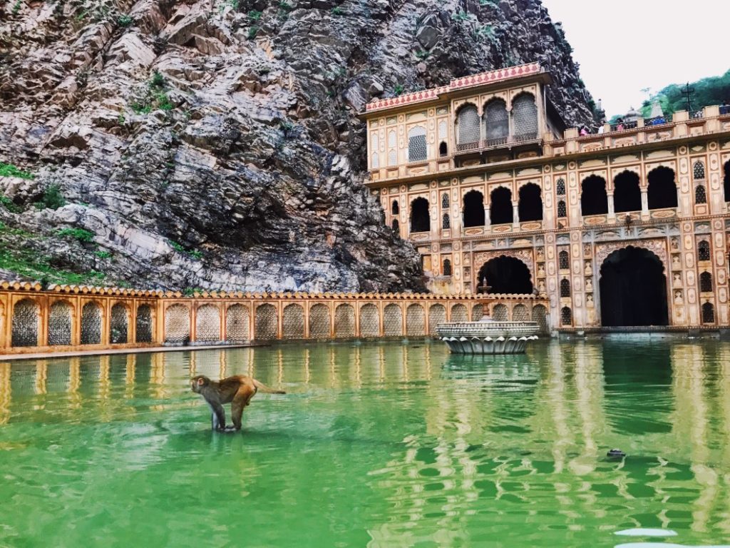 vedere a jaipur