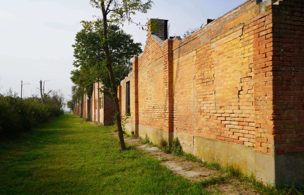 vedere a carpi