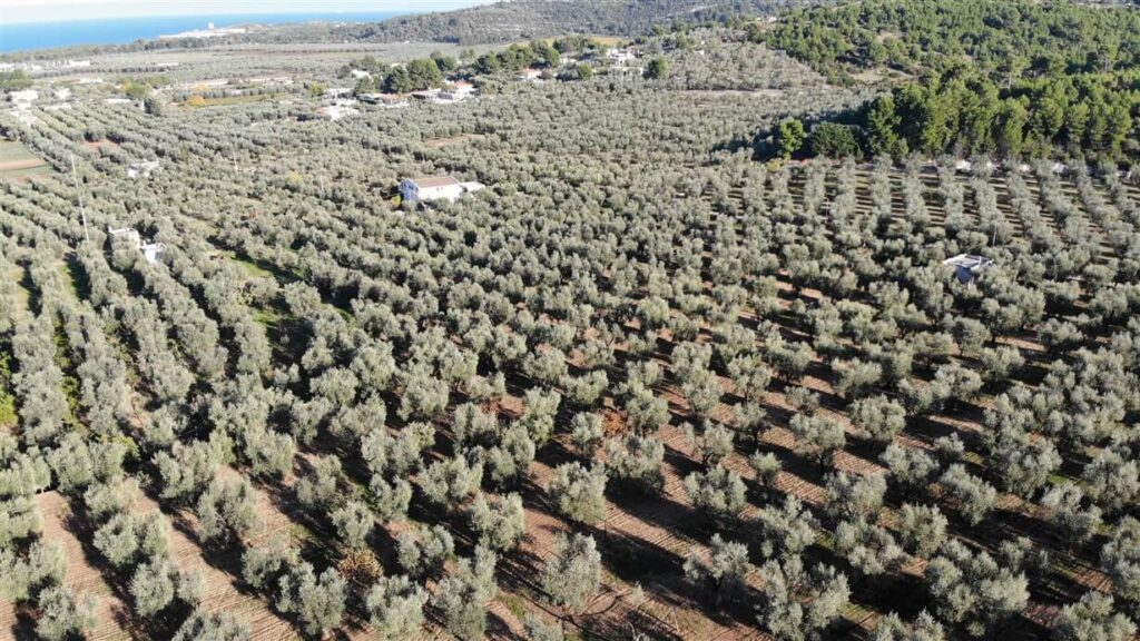 cosa vedere nel Gargano