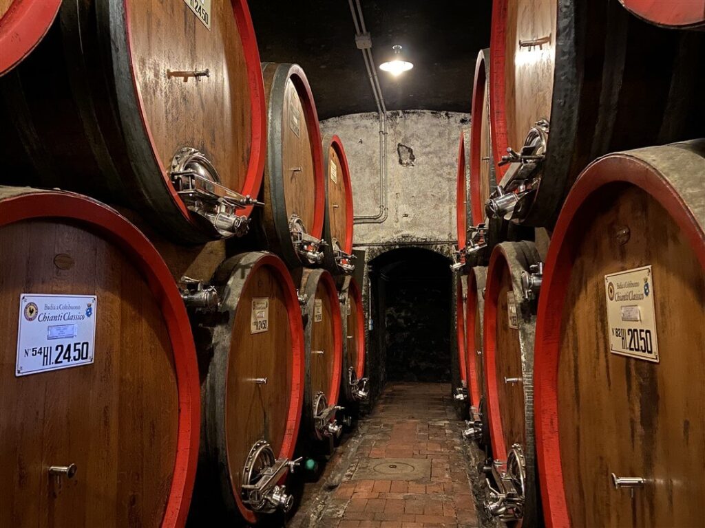 degustazioni di vino