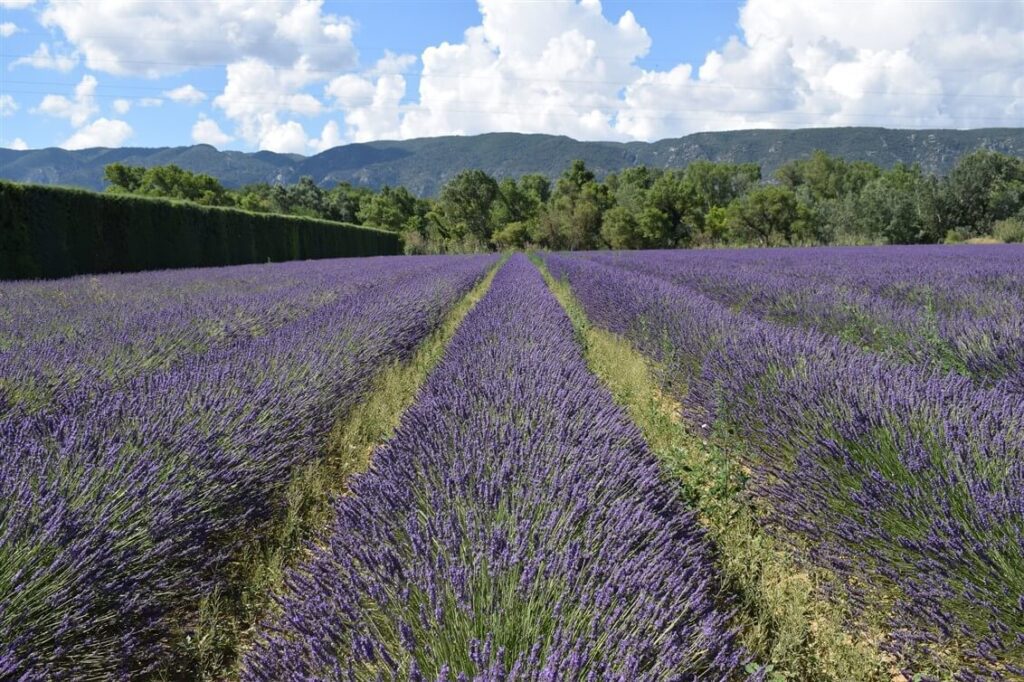 itinerari in Francia