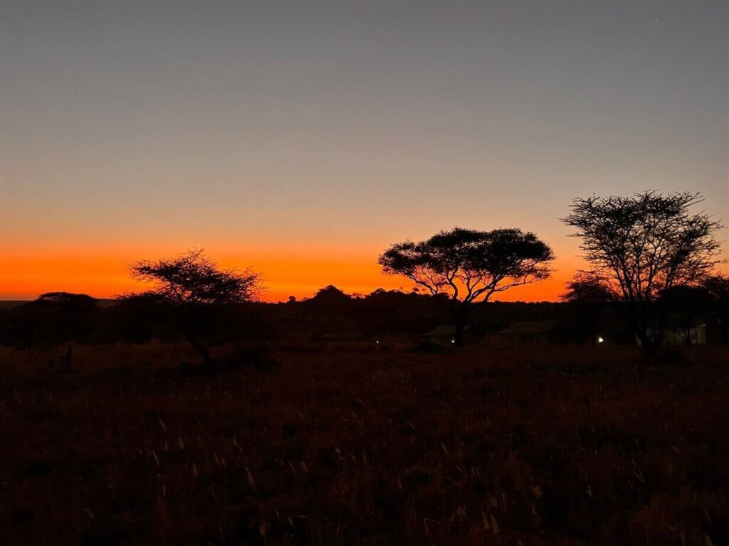 Capodanno nella savana