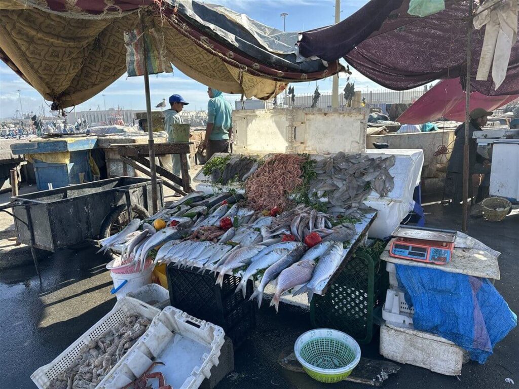 da Marrakech a Essaouira