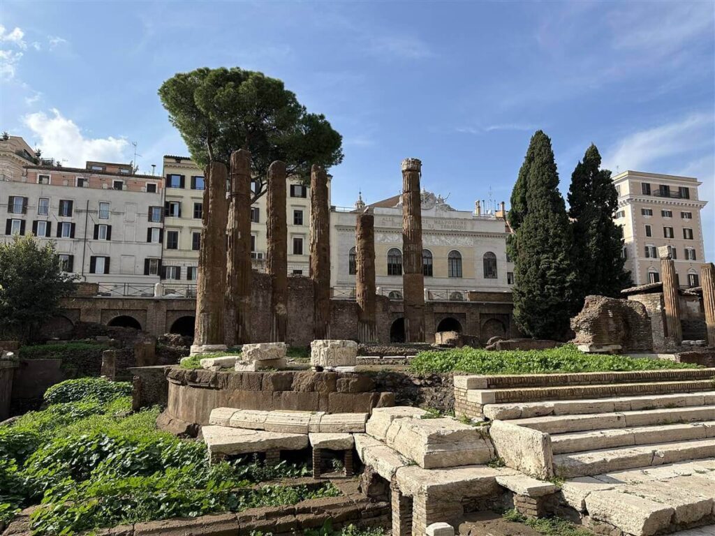 largo argentina
