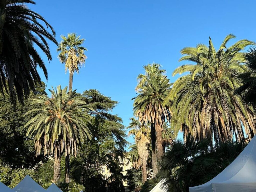 Hanami Orto Botanico