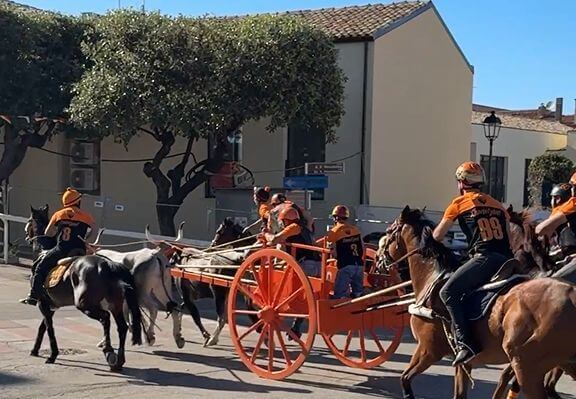 corsa dei carri portocannone
