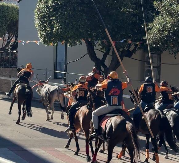 corsa dei carri portocannone