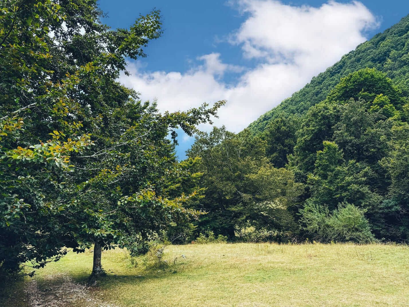 arteparco pescasseroli