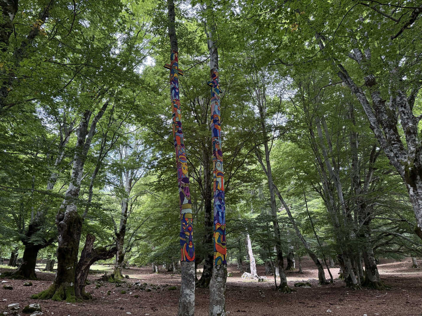 arteparco pescasseroli