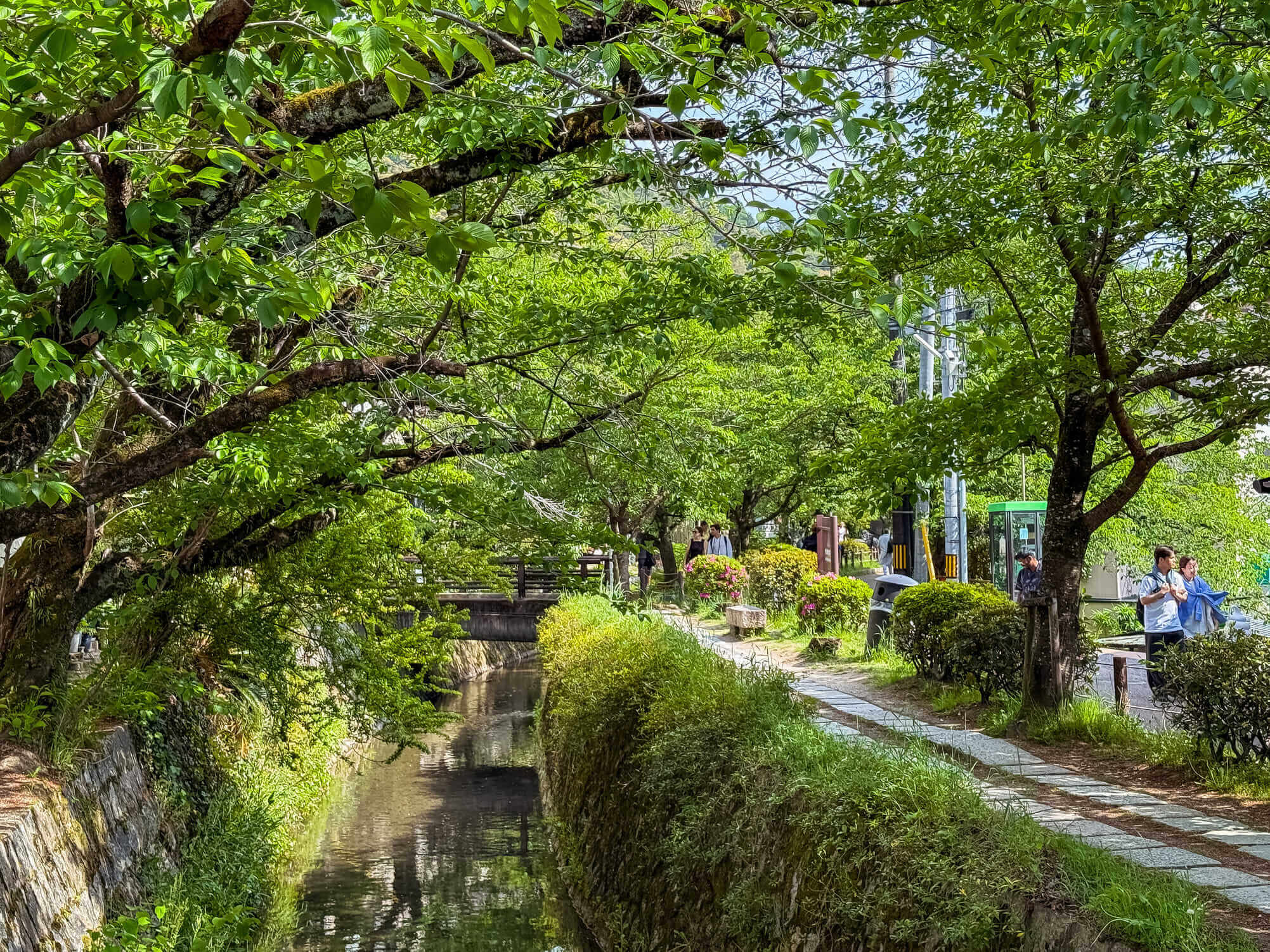 Kyoto in 3 giorni sentiero del filosofo
