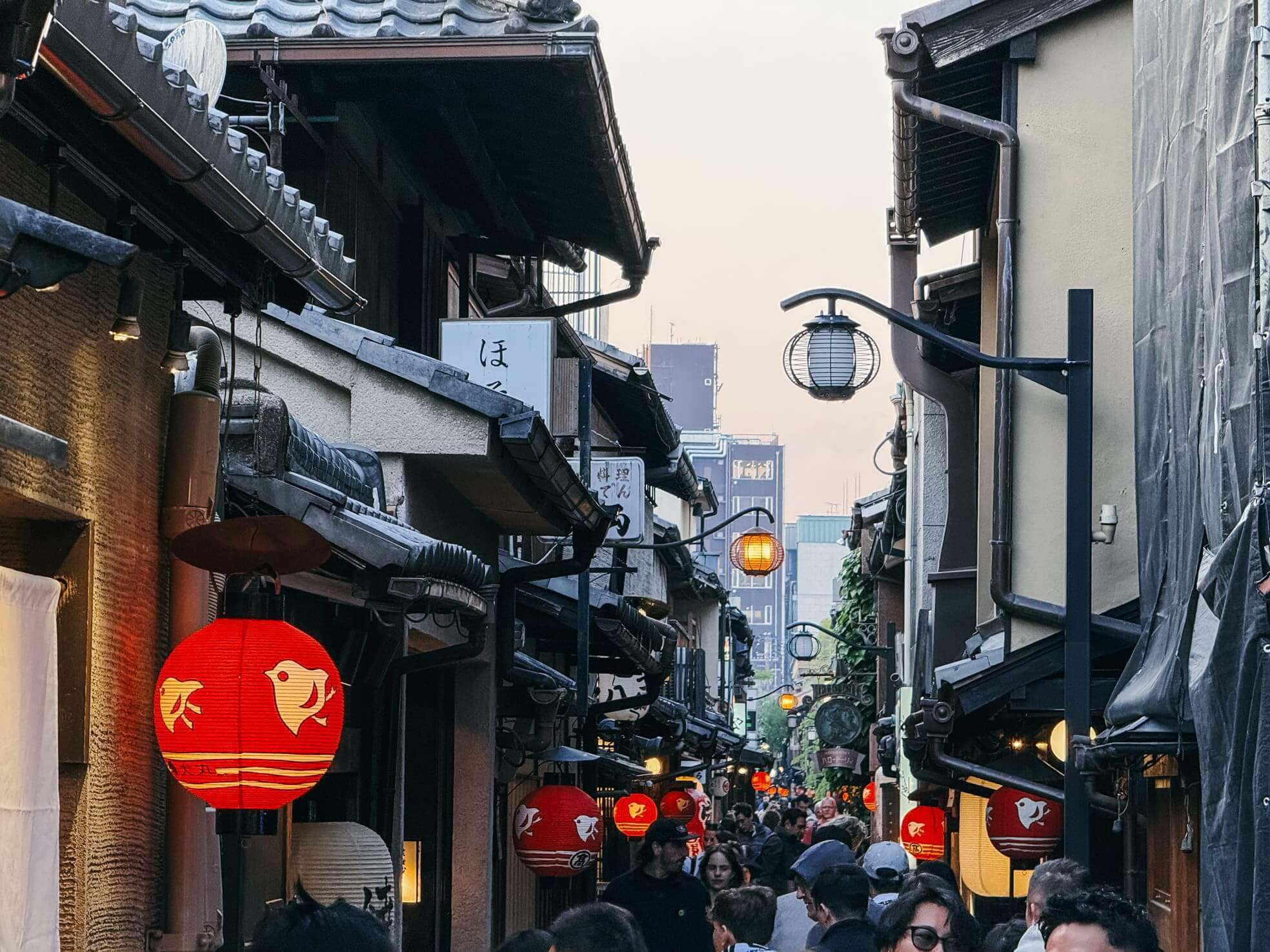 Kyoto in 3 giorni pontocho alley